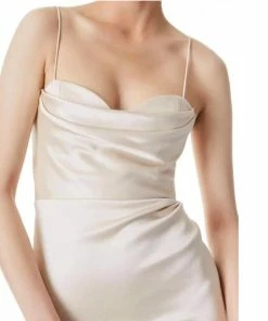 Buy ✨ Alice + Olivia Kiyoko Cowl Bustier 👗 Dress in Champagne for 👩 women 🔔 -Alice + Olivia Sales d4145bdc601f4a3491bf37c7d920b68c 2e04bfd7 aeff 4f63 9037 e30ecf748e73 1080x